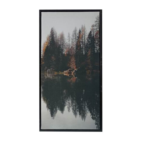 Seinapilt WALLY 30x60cm, mets C Maalid