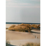 Seinapilt WALLY 30x90cm, liivaluited Maalid