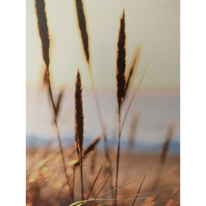 Seinapilt WALLY 30x90cm, kõrkjad Maalid