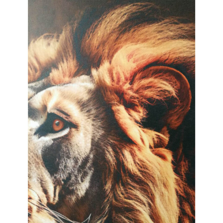Seinapilt WALLY 50x70cm, lõvi Maalid