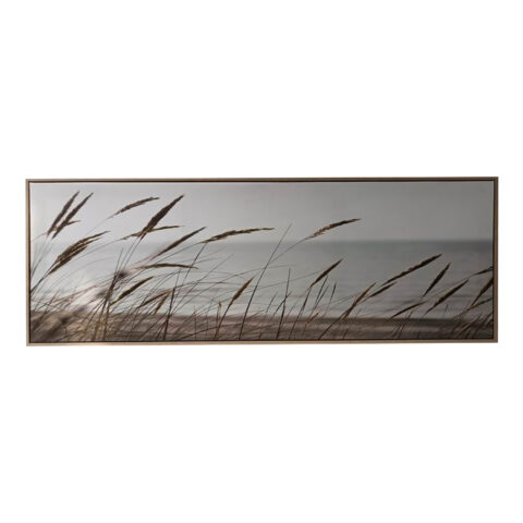 Seinapilt WALLY 50x140cm, kõrkjad Maalid