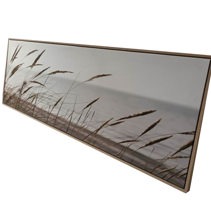 Seinapilt WALLY 50x140cm, kõrkjad Maalid