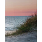 Seinapilt WALLY 50x140cm, loojang Maalid