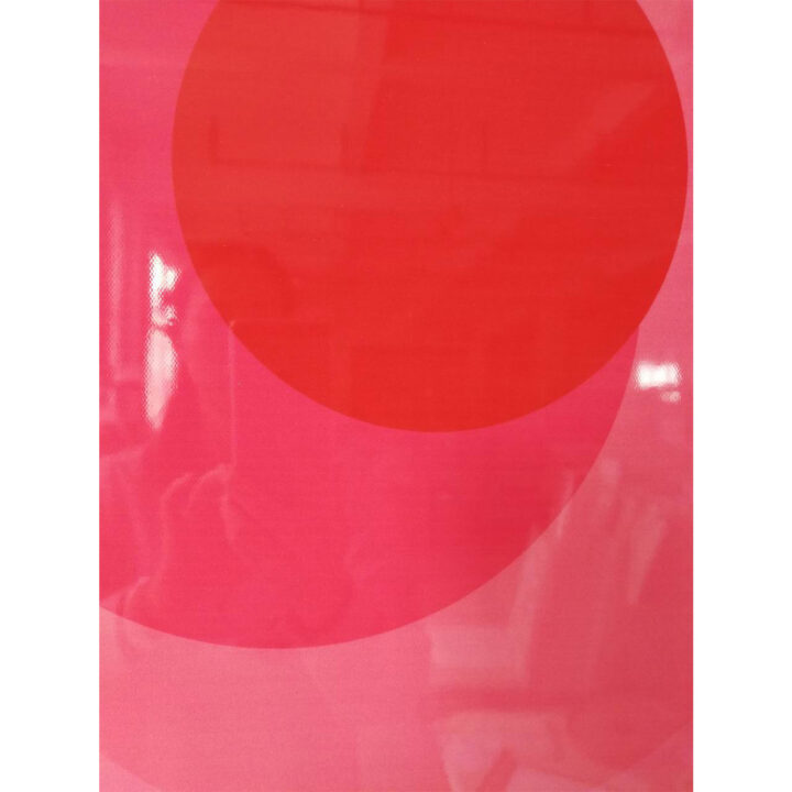 Seinapilt WALLY 60x80cm, roosa ring, akrüül Maalid
