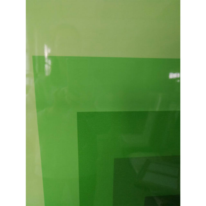 Seinapilt WALLY 60x80cm, roheline, akrüül Maalid