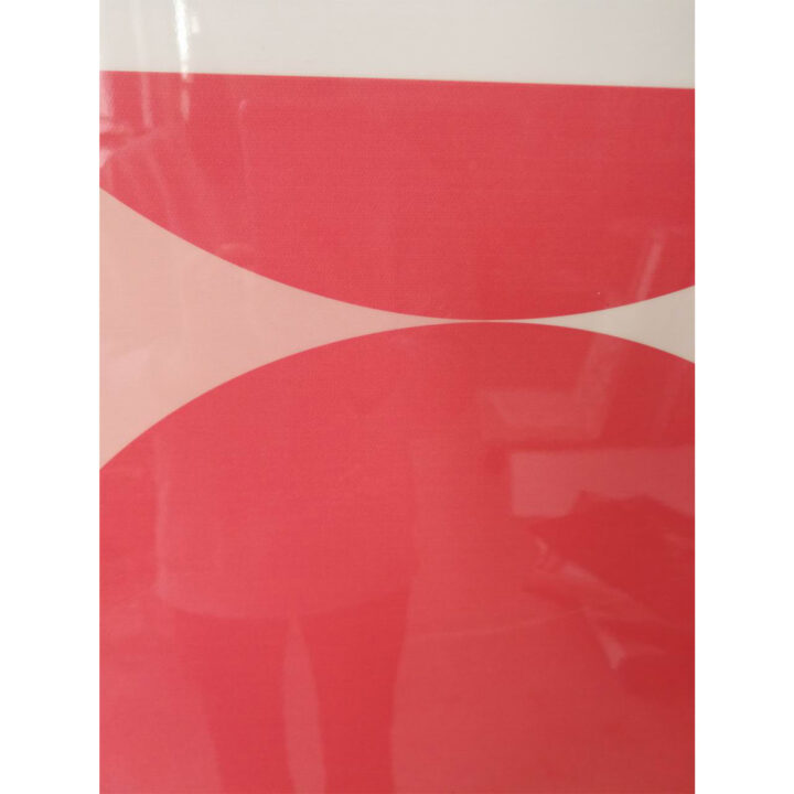 Seinapilt WALLY 80x120cm, loojang, akrüül Maalid