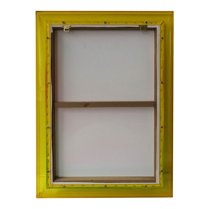 Seinapilt WALLY 50x70cm, koidukuma, akrüül Maalid