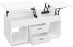 Kohvilaud 100x50x48cm Diivanilauad