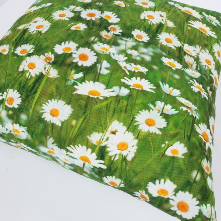 Padi HOLLY 45x45cm, lukuga, karikakrad, kangas 100% puuvill, kangas 413 Dekoratiivpadjad Dekoratiivpadjad