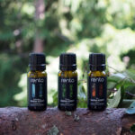 Leililõhn RENTO, Wood Tar 10ml* Saun RENTO