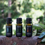 Leililõhn RENTO, Eucalyptus 10 ml Saun RENTO