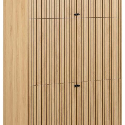 Kapp ALBANY 99x60xH200cm, naturaalne Kapid, kummutid ja riiulid