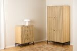 Kapp ALBANY 99x60xH200cm, naturaalne Kapid, kummutid ja riiulid