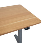 Töölaud ERGO LIGHT 1-mootoriga 120x60xH73-118cm, tamm/hõbehall Kontorimööbel ERGO
