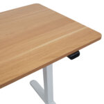 Töölaud ERGO LIGHT 1-mootoriga 120x60xH73-118cm, tamm/valge Kontorimööbel ERGO